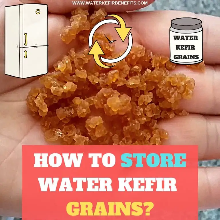 How to Store Water Kefir Grains_