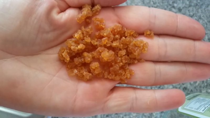 water kefir grains