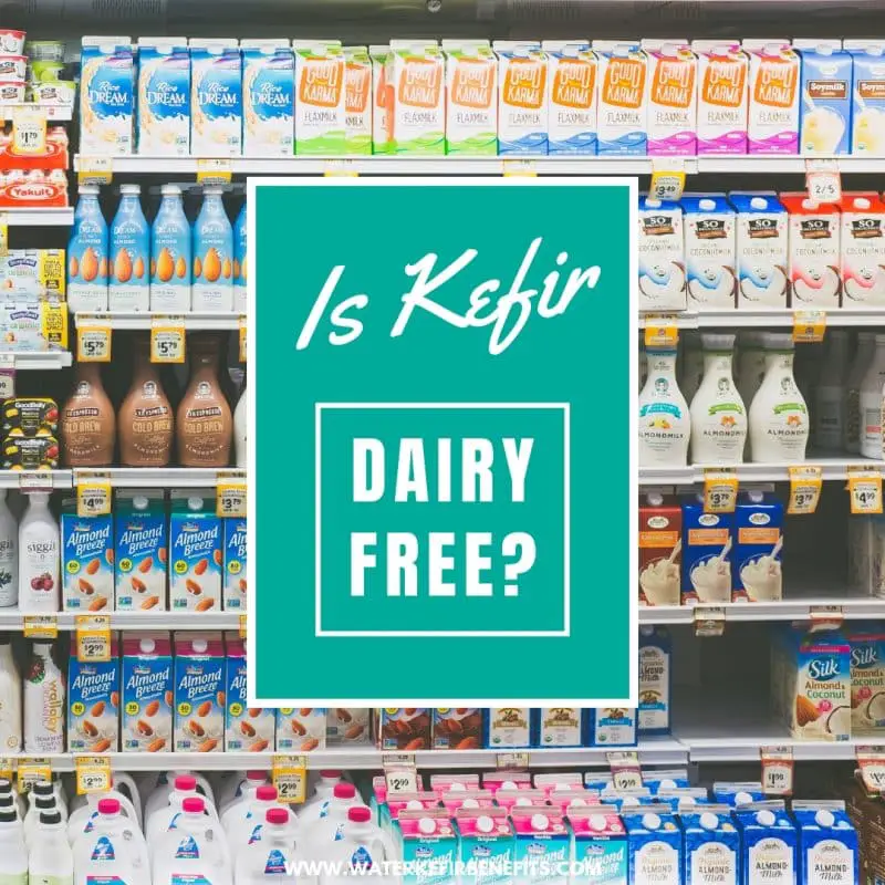 Is kefir dairy free