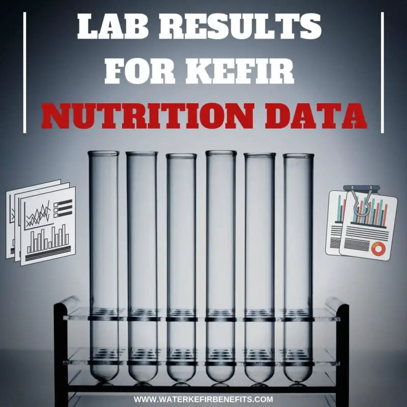 Lab Results For Kefir Nutrition Data