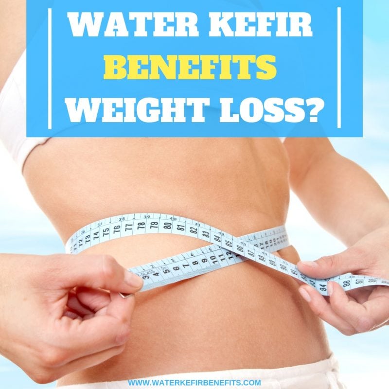 Water Kefir Benefits Weight Loss Water Kefir Diet Included Water 