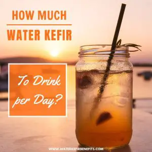 Water Kefir Dosage How Much Water Kefir to Drink per Day