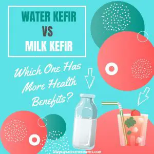 Water Kefir vs Milk Kefir Which One Has More Health Benefits