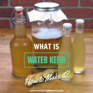 What is Water Kefir & How to Make it