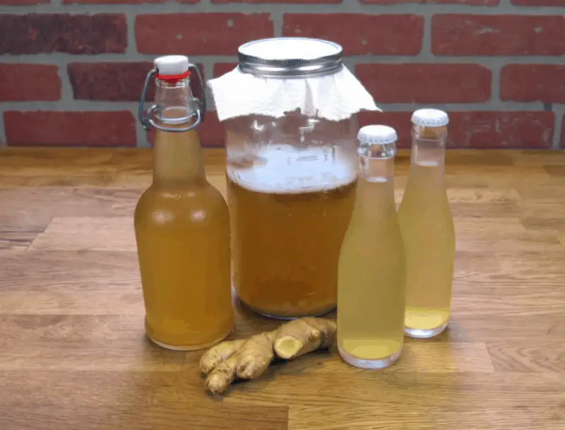 What is water kefir & how to make it