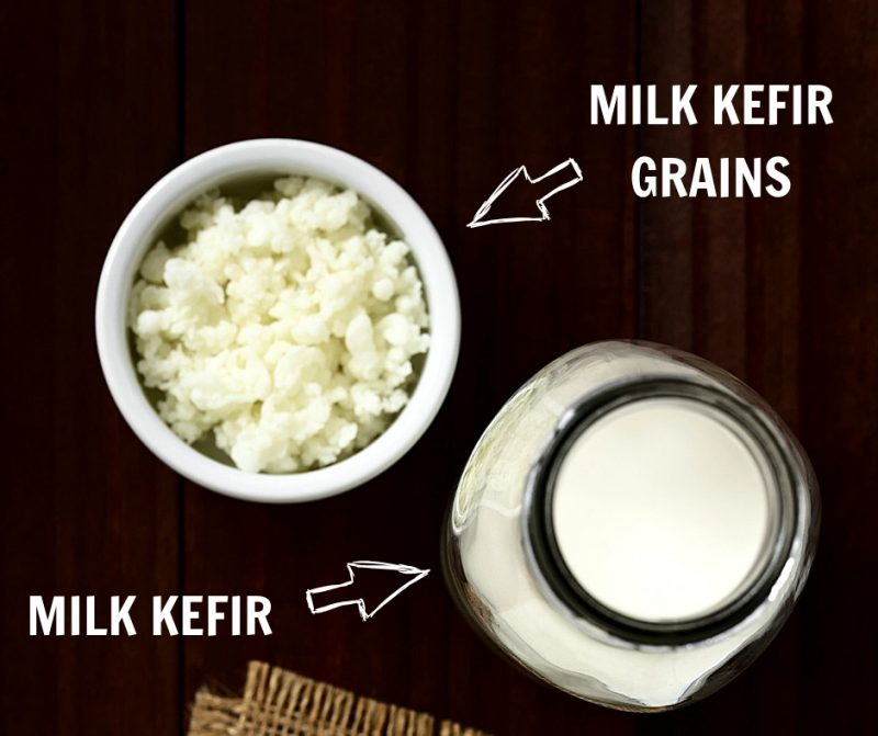 milk kefir and milk kefir grains