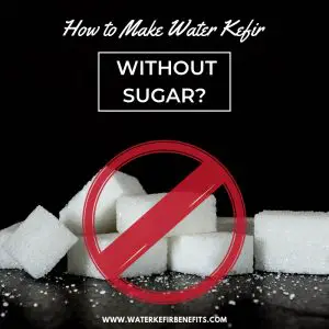 How to Make Water Kefir Without Sugar (Best Substitutes for Sugar, Recipes & More)