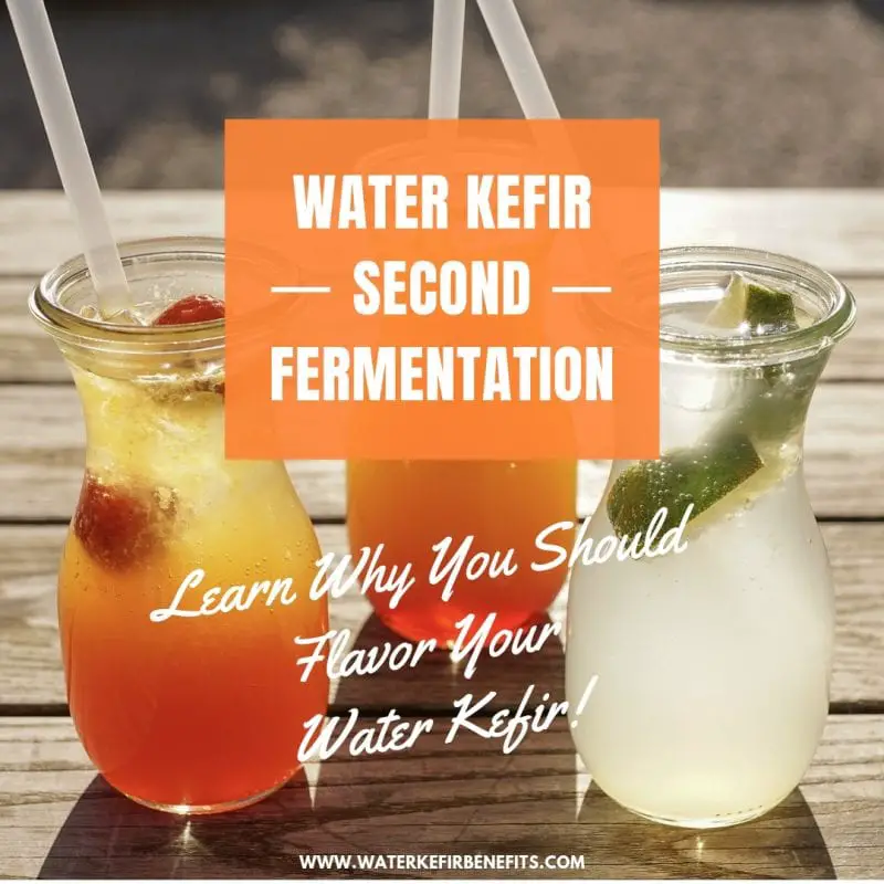 Water Kefir Second Fermentation Learn Why You Should Flavor Your Water Kefir