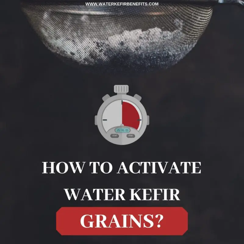 How to Activate Water Kefir Grains