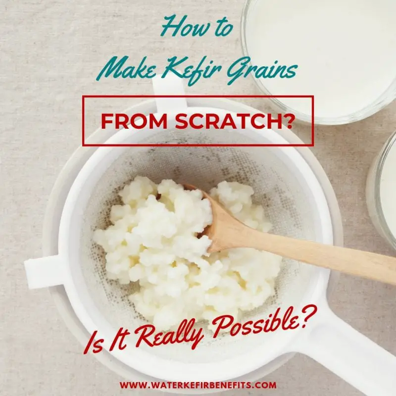 How to Make Kefir Grains from Scratch.