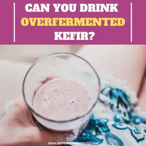 Can You Drink Overfermented Kefir