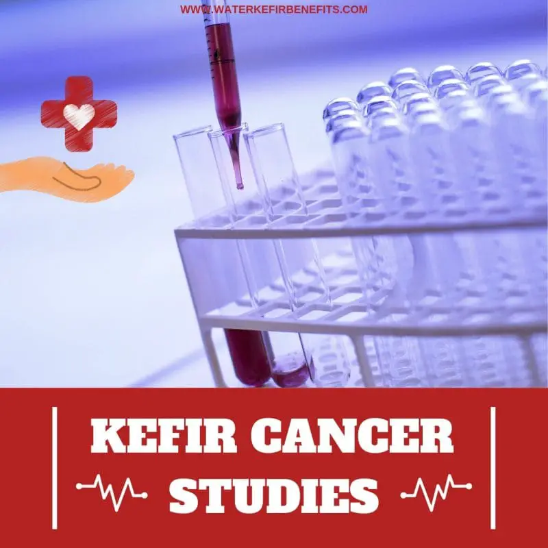 Kefir Cancer Study – Anticancer Properties of Kefir