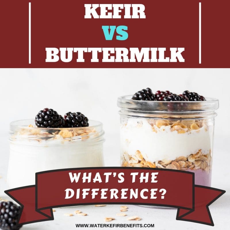 Kefir Vs Buttermilk What S The Difference Water Kefir Benefits