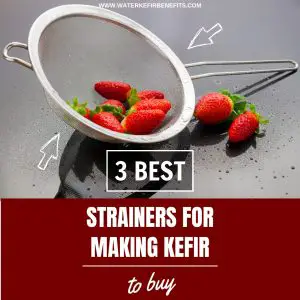 3 Best Strainers for Making Kefir to Buy