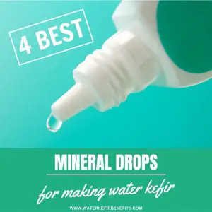 4 Best Mineral Drops For Making Water Kefir Best Way To Multiply Water Kefir Grains.