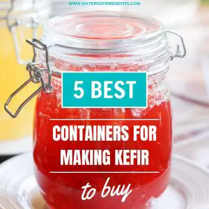 5 Best Containers for Making Kefir to Buy.