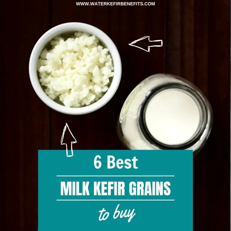 6 Best Milk Kefir Grains to Buy