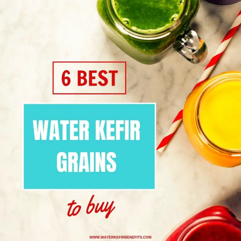 6 Best Water Kefir Grains to Buy.