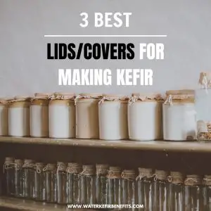 3 Best LidsCovers for Making Kefir to Buy