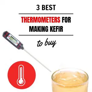 3 Best Thermometers for Making Kefir to Buy
