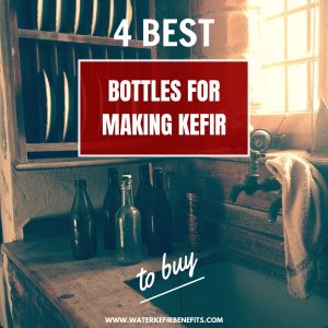 4 Best Bottles for Making Kefir to Buy.