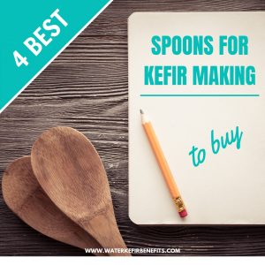 4 Best Spoons for Kefir Making to Buy