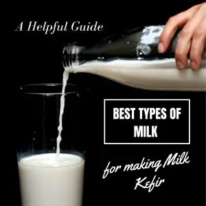 Best Types of Milk for Making Milk Kefir A Helpful Guide