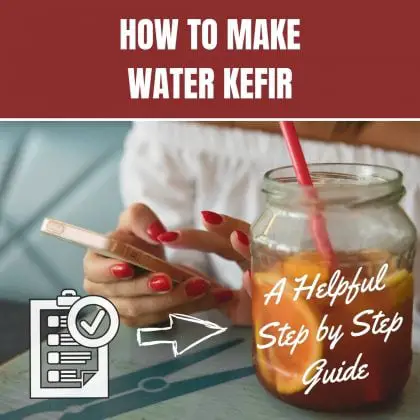 How to Make Water Kefir A Helpful Step by Step Guide
