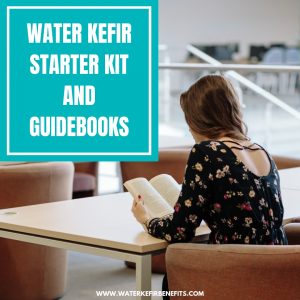 Water Kefir Starter Kit and Guidebooks for Beginners