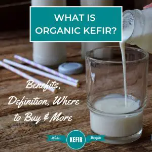 What is Organic Kefir (Benefits, Definition, Where to Buy & More)